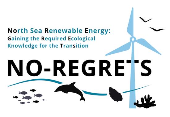 Socioeconomic Impact of Windfarms